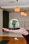 achtweekse mindfulnesstraining haarlem | startdatum 11 februari 2020