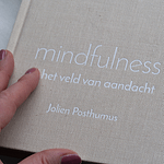 Het mindfulnessboek Mindfulness in het veld van aandacht
