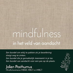 boek Mindfulness in het veld van aandacht